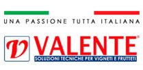 Rappresentazione grafica logo valente srl