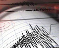 sismografo-durante-la-misurazione-sismicasismi