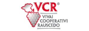 logo vcr